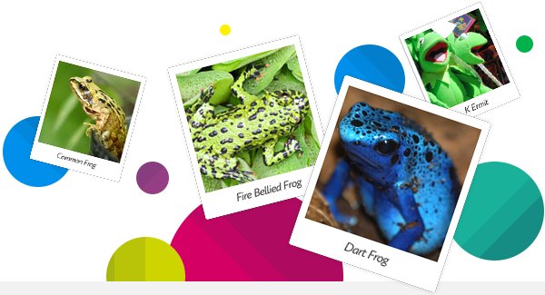 Species-Event-Header_Top.png
